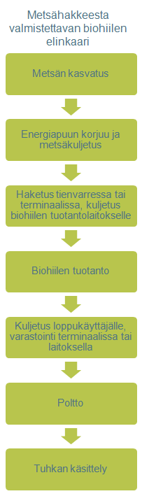 Biohiilen elinkaari ulottuu metsästä kattilaan Biohiilen elinkaari ulottuu metsästä kattilaan