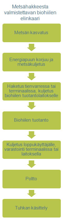 Biohiilen elinkaari ulottuu metsästä kattilaan