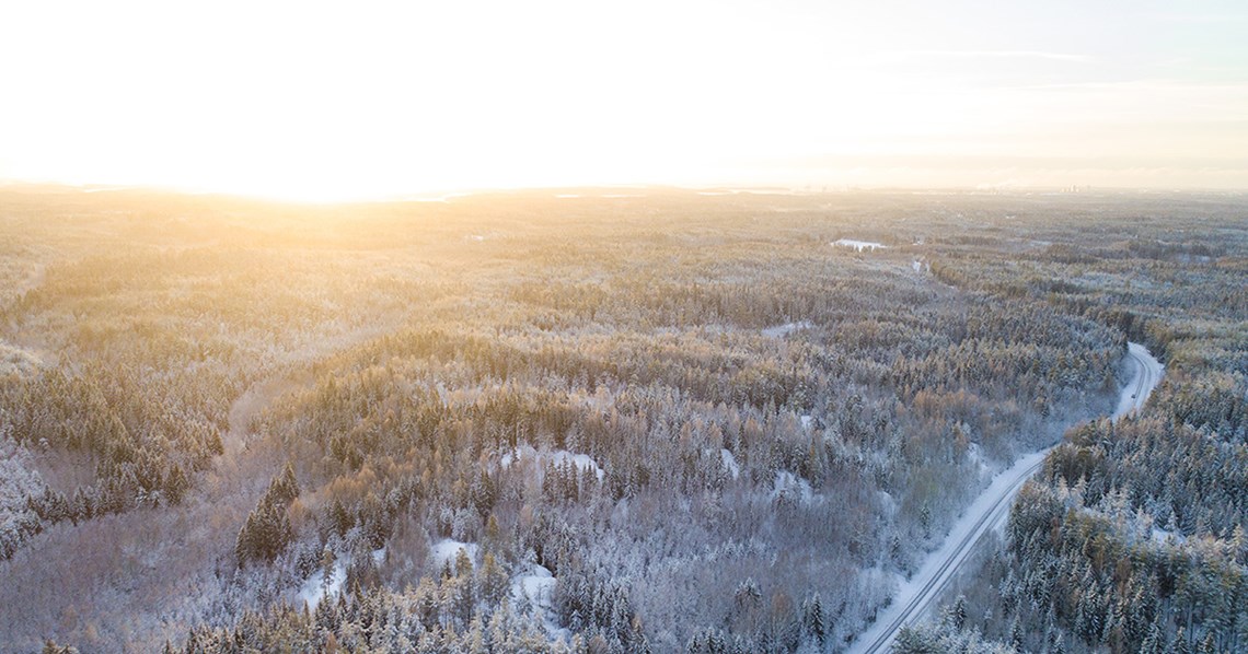 Millä Suomi ja pääkaupunki lämpiävät: sähköllä vai puulla?