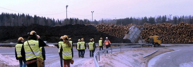 Miten paljon on miljoona kiintokuutiometriä puuta?