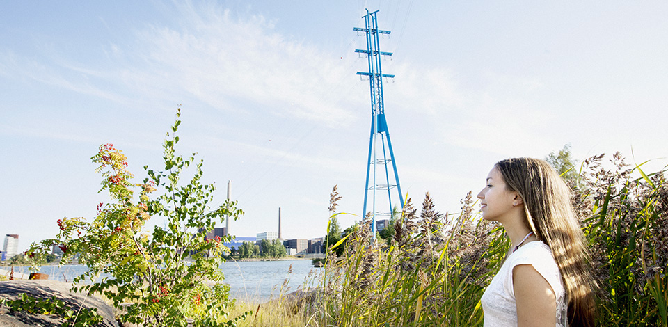 Antin Askeleet ovat esimerkki sähköverkon designista