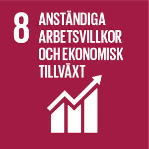 SV8_arbet och ekonomi.jpg
