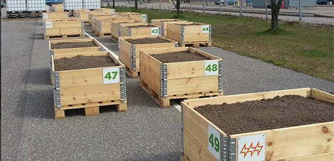 Planting boxes in Hanasaari urban allotment 